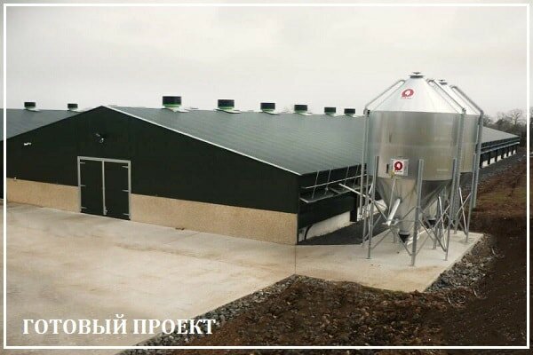 Этапы возведения птицефабрики от завода ВелесТент-шмб
